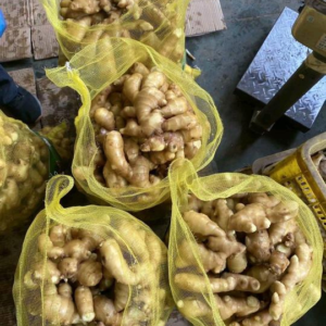 Fresh Ginger 50kg