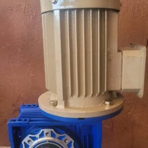 Worm Gear Motor